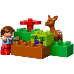 Lego Duplo 10584 Foresta Parco | Massa Giocattoli
